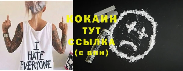 PSILOCYBIN Аркадак